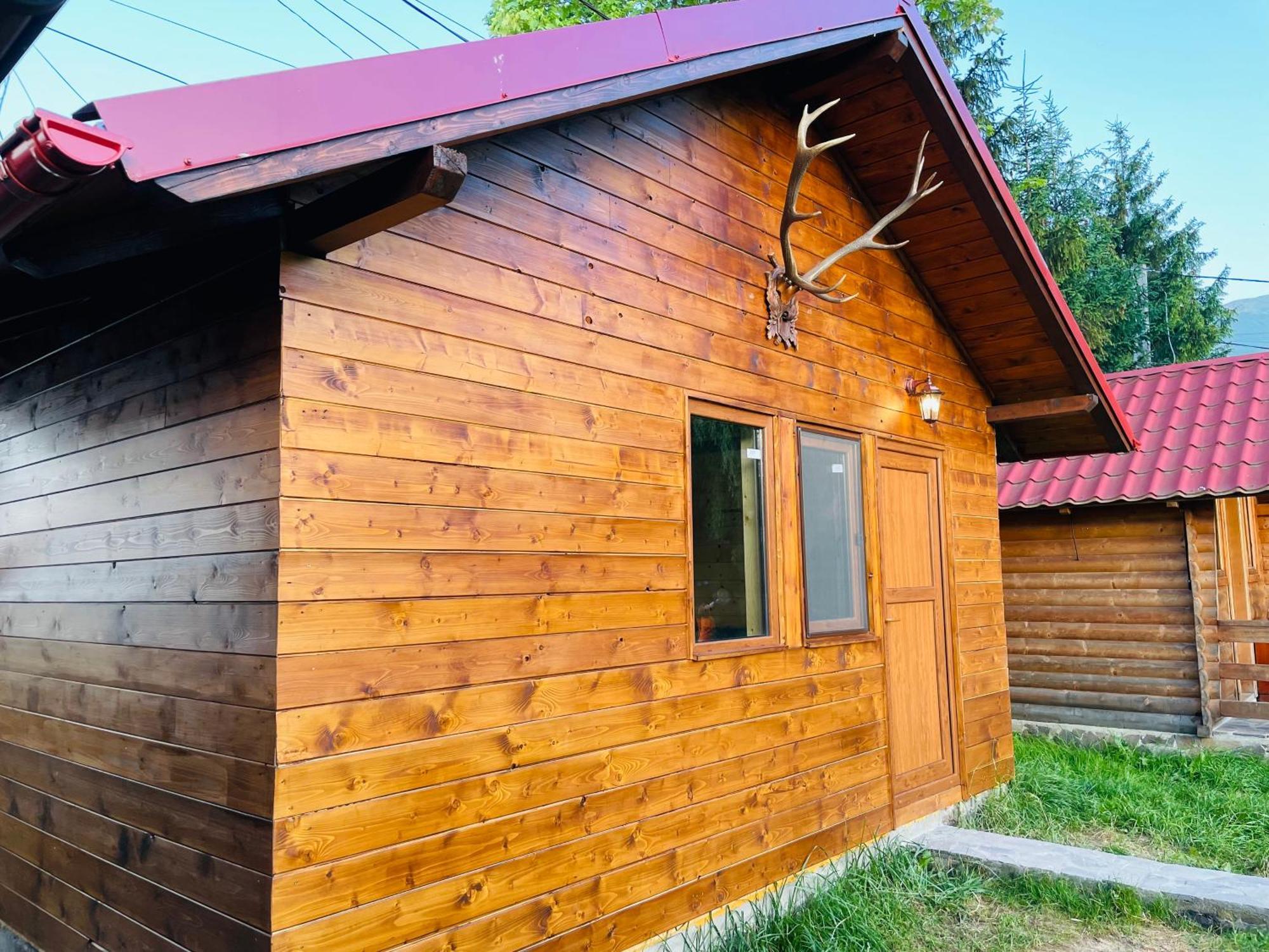 Pensiunea Ioana Borşa Exterior foto