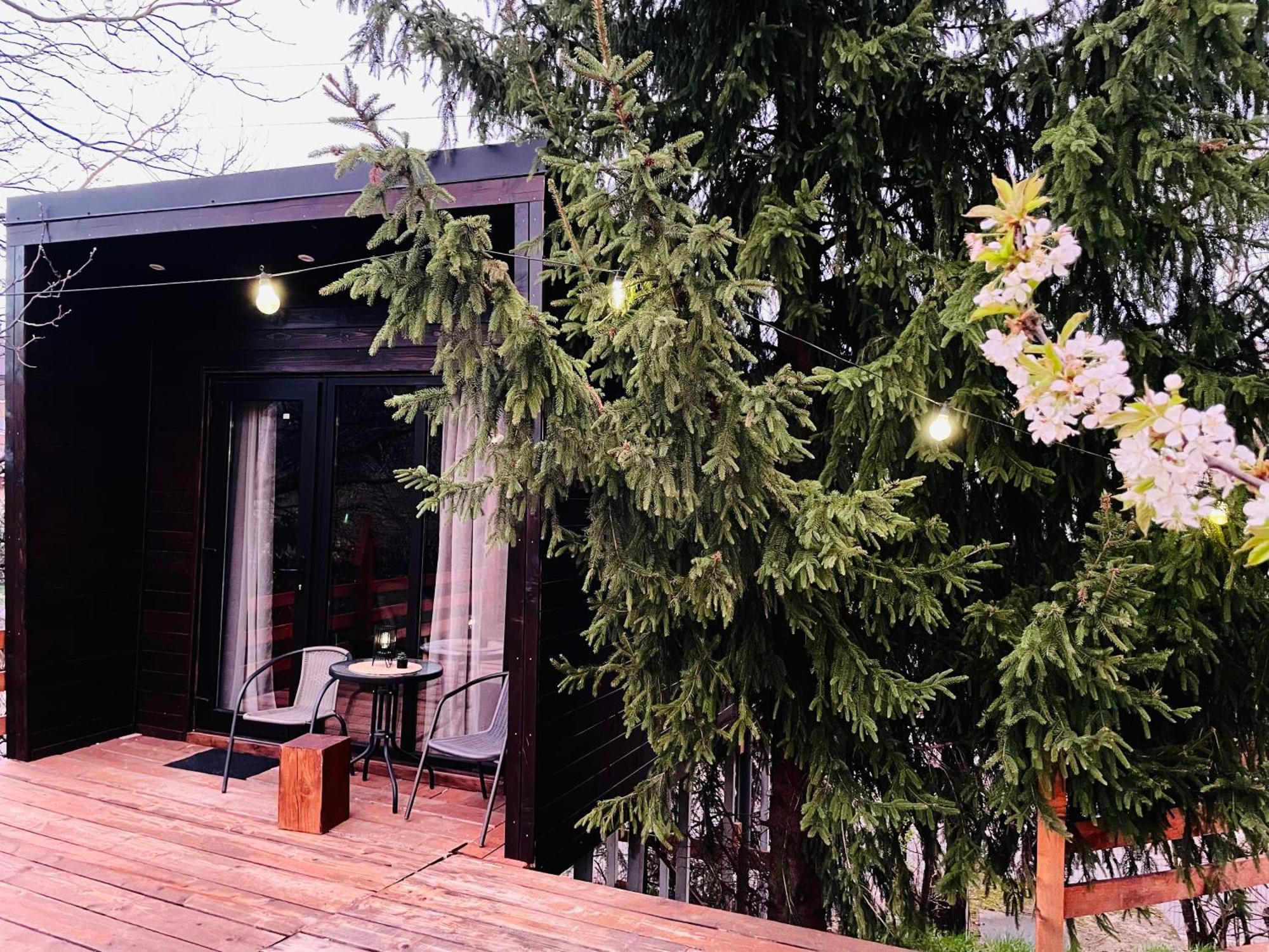Pensiunea Ioana Borşa Exterior foto